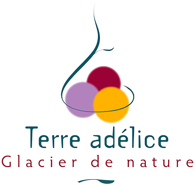 logo2