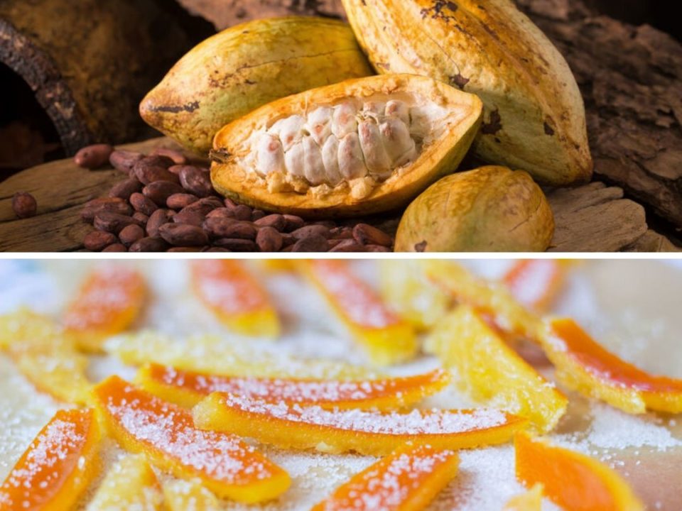 Cacao Bio Oranges Confites Bio