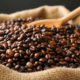 Cafe Pur Arabica Bio Terre Adelice
