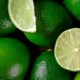 Citron Vert Bio Terre Adelice