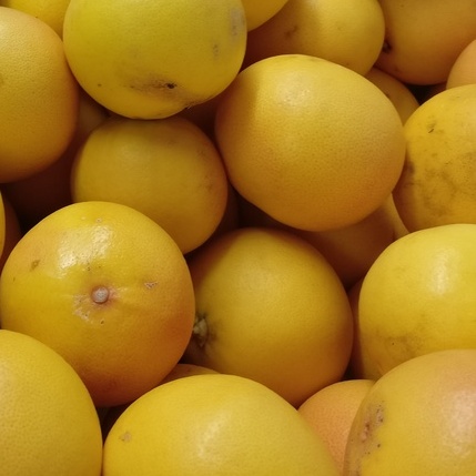 Pomelo Bio Terre Adelice