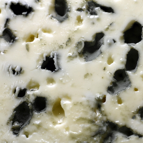 Roquefort Bio Terre Adelice